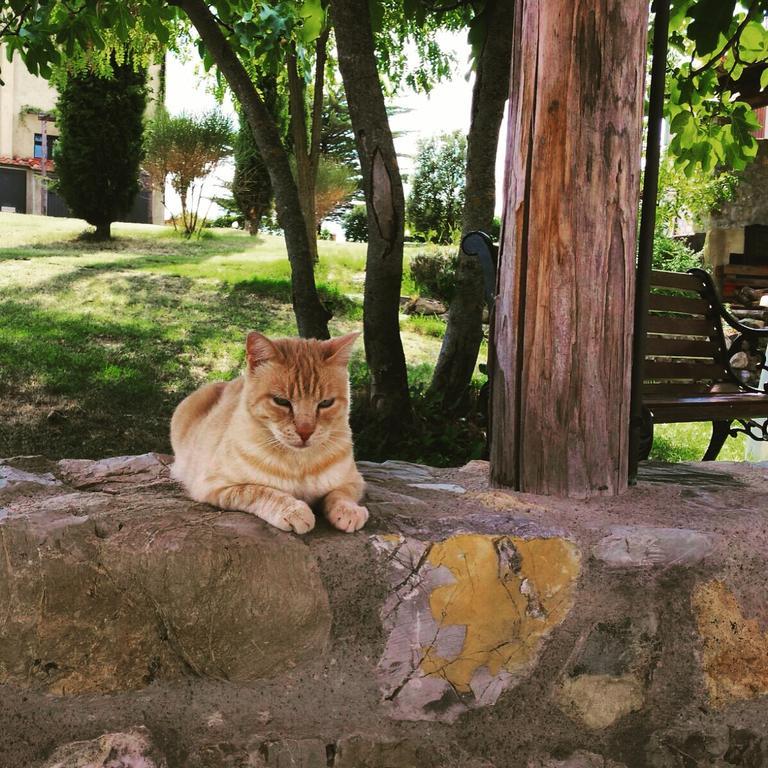 Agriturismo San Nicolo Montecastelli Pisano Екстер'єр фото