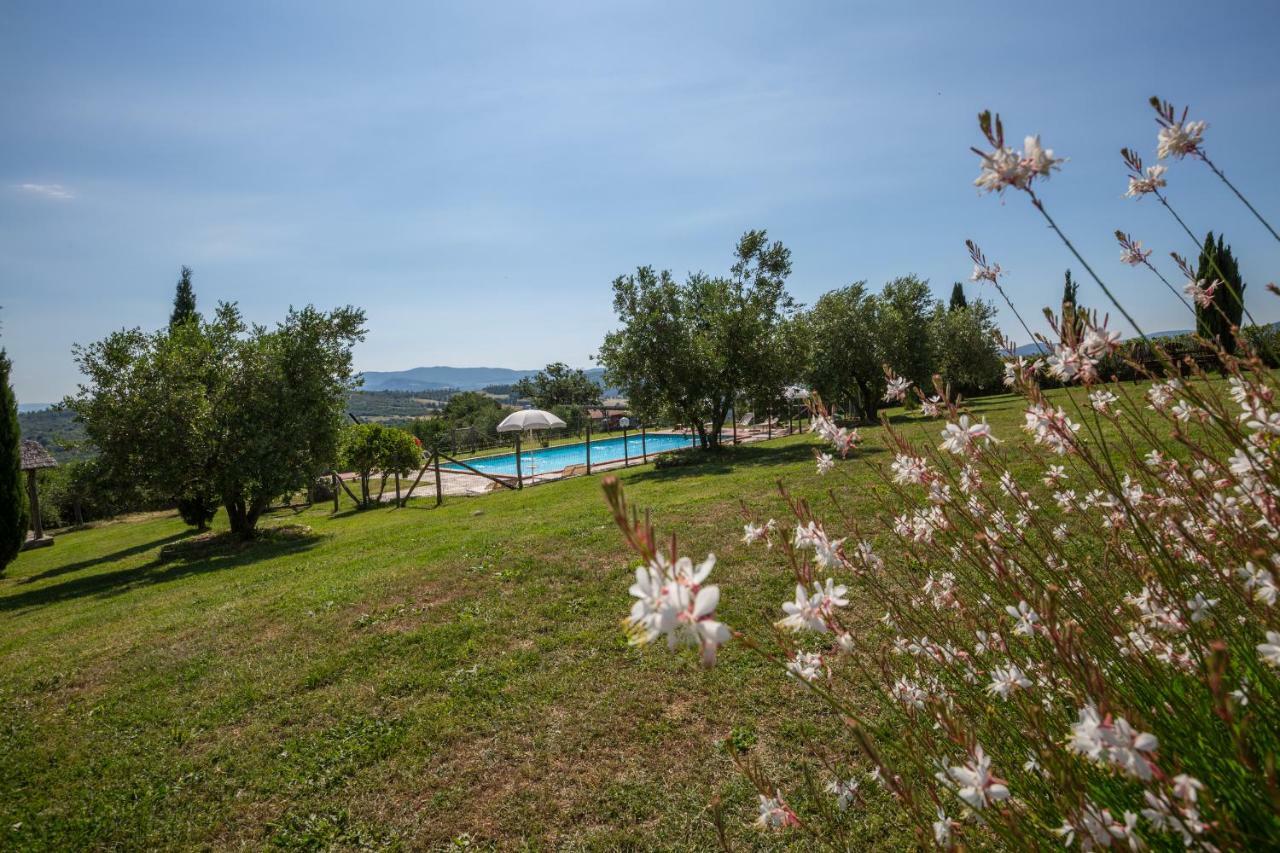 Agriturismo San Nicolo Montecastelli Pisano Екстер'єр фото